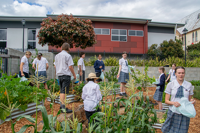 Welcome to Mount St Patrick College Murwillumbah